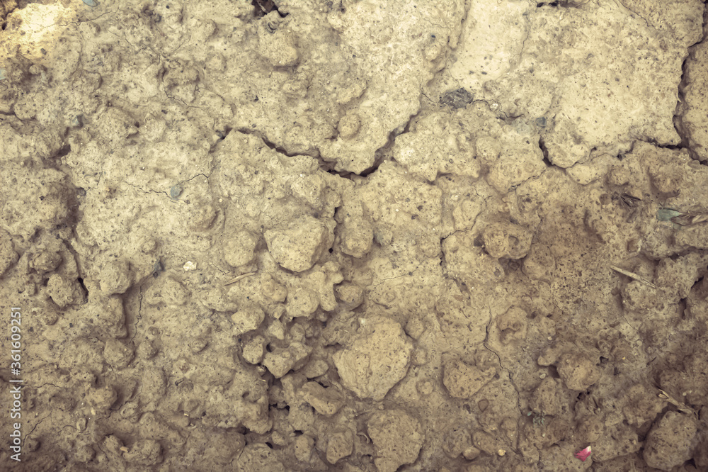 Fototapeta premium texture of the ground