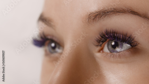 Fototapeta Naklejka Na Ścianę i Meble -  Eyelash Extension Procedure. Close up view of beautiful female eye with long eyelashes, smooth healthy skin.