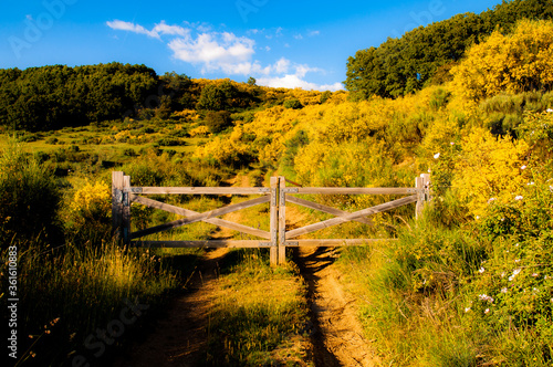 traditional old school fence door opening to a country path