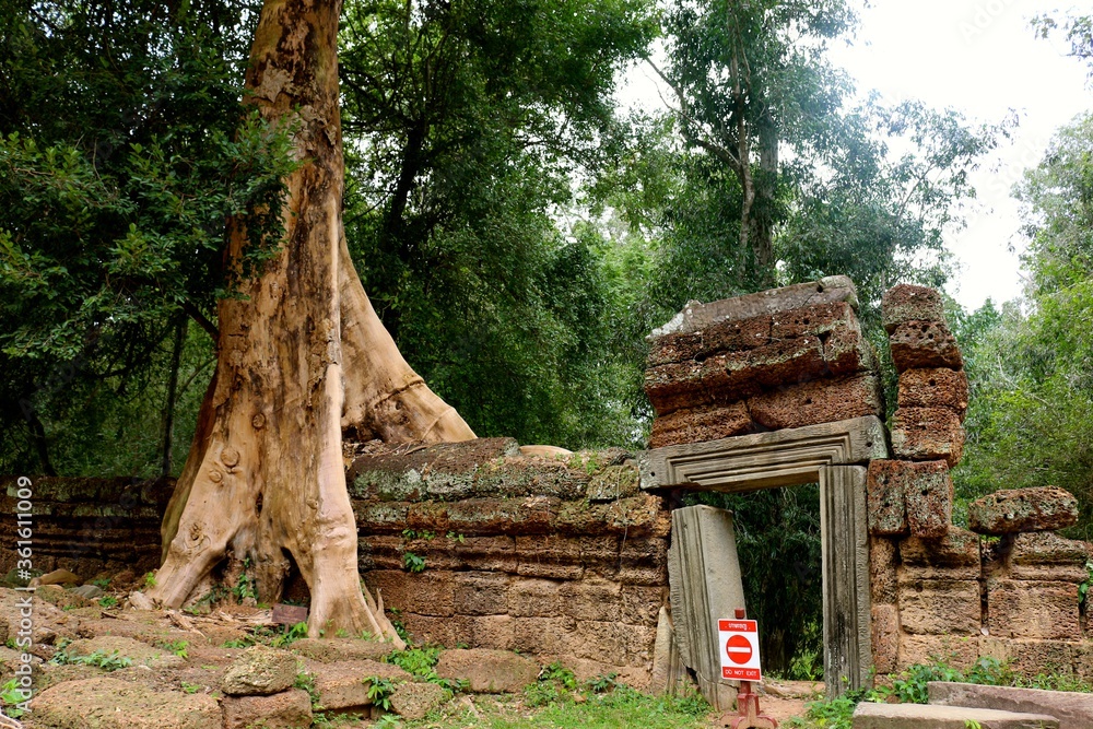 Obraz premium ta prohm temple
