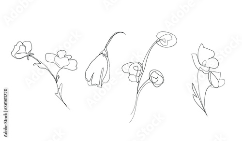 vector set of outline flowers, one line art