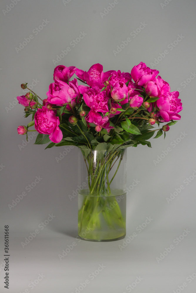 Bouquet of pink peonies in glass vase on gray background, greeting card concept Bouquet of pink peonies in glass vase on gray background, greeting card concept