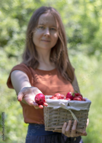 Young woman holds out red ripe strawberry on his palm. With his other hand she holds a basket full of sweet strawberries. Selective focus.