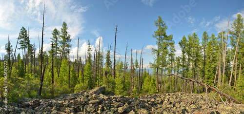 The taiga and alpine tundra - stone deposits, fragments of rock, boulders