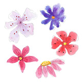 Watercolor stylized colorful flowers set