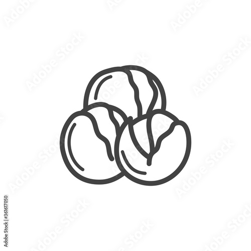 Brussel Sprouts line icon. Vector Illustration.