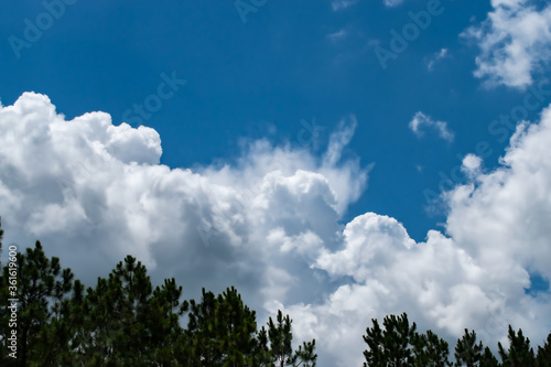 Clouds in blue sky background with copy space