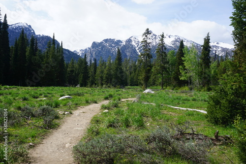 Tableau sur toile Trail at the Laurance S