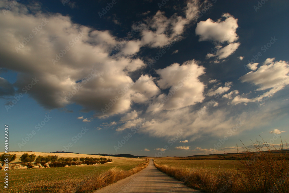 Carretera entre campos agrícolas de secano con cielo parcialmente nuboso, en los Llanos del Cagitán, Mula, Murcia, España.