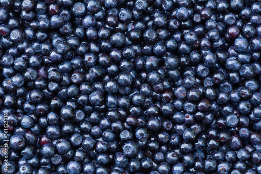 Blueberries. Background from fresh blueberries. Top view Blueberries. Background from fresh blueberries. Top view