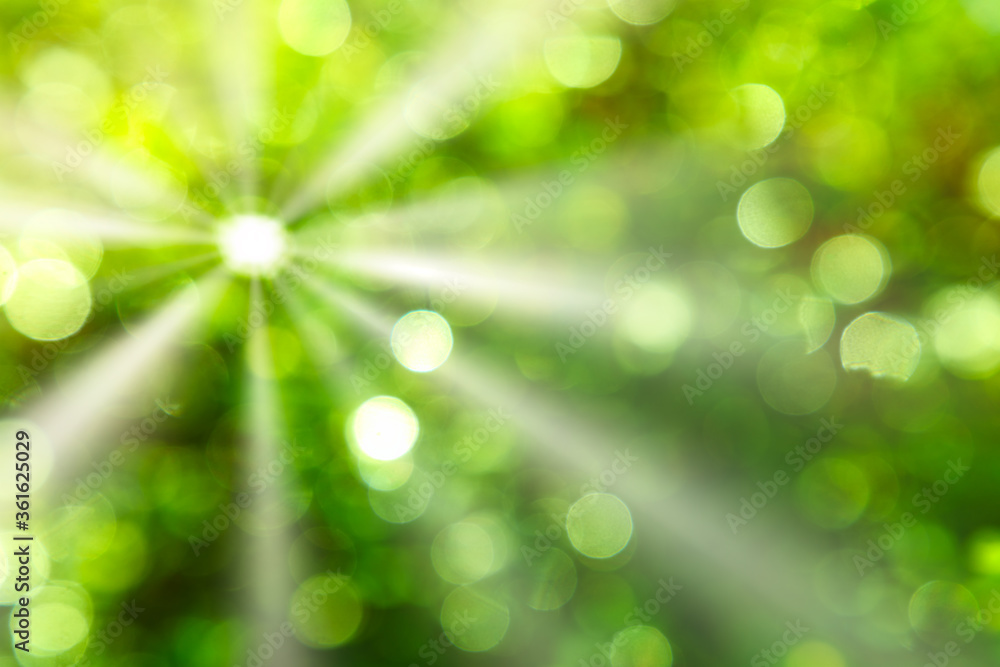 Obraz premium Lichtreflexe der Sonne erzeugen Muster, die einen unscharfen Hintergrund bilden.