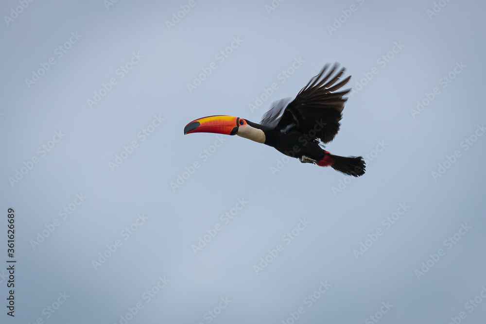 Naklejka premium tucano