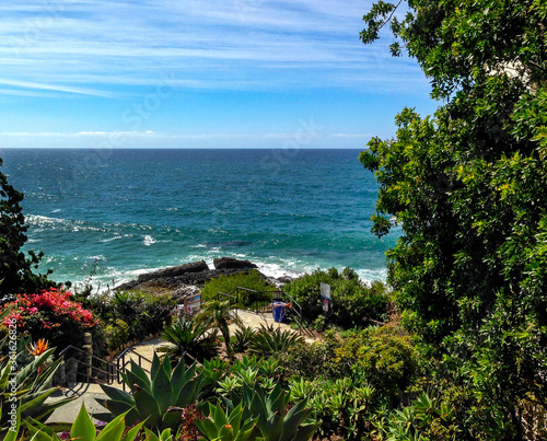 Vibrant ocean and sky seascape with Mediterranean style plants in a park setting. 