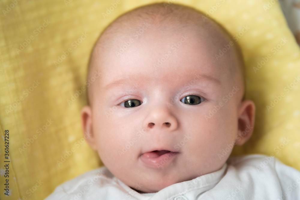 Newborn baby on blanket looking into camera. Selective focus. Newborn baby on blanket looking into camera. Selective focus.