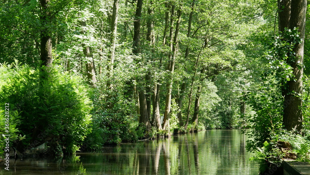 Spreewald Spreewald