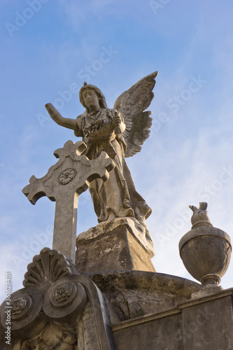 La Recoleta Cemetery  Buenos Aires  Argentina