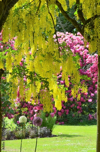 Summer Garden