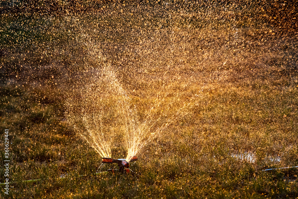 Sprinkler watering grass and flowers in a city park on a sunny day