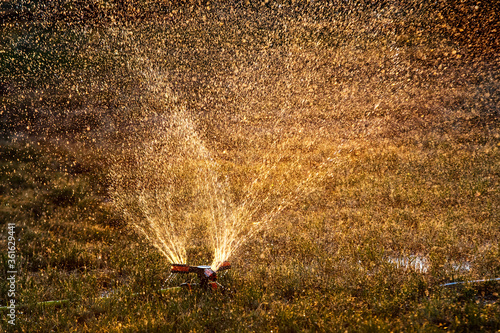 Obraz na płótnie Sprinkler watering grass and flowers in a city park on a sunny day w salonie