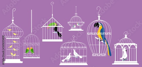 Exotic birds in decorative cages, EPS 8 vector illustration