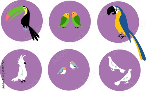 Set of pet exotic birds icons on circles, EPS 8 vector illustration 