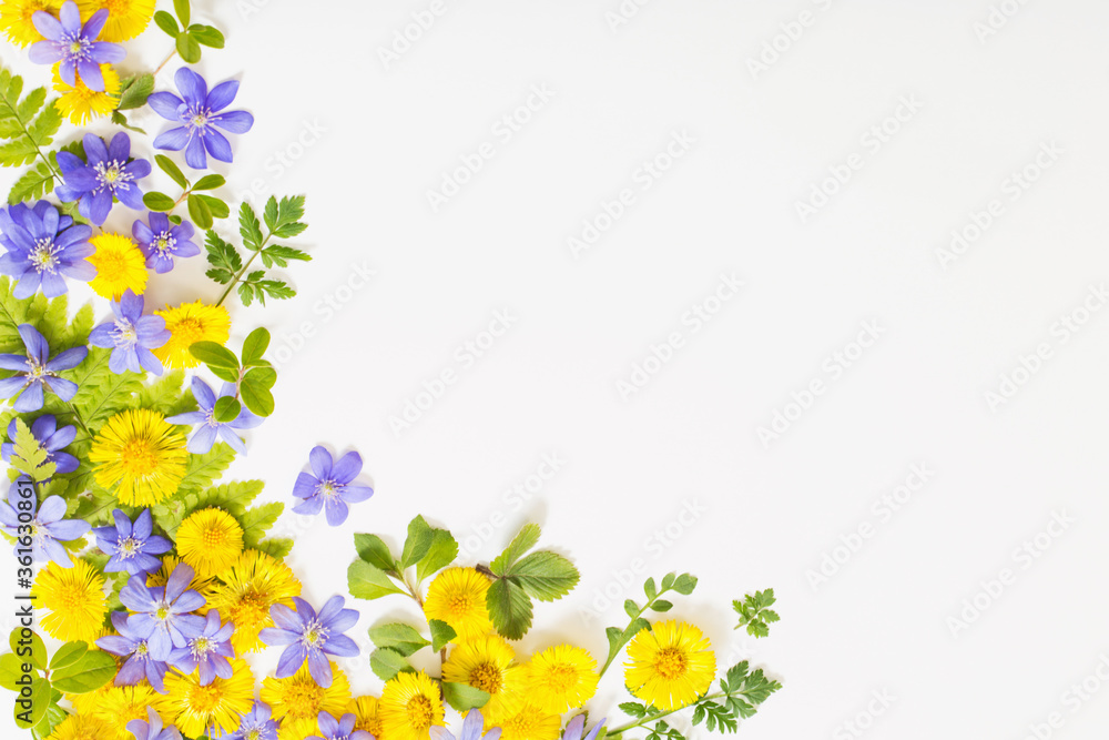 Fototapeta premium spring yellow and violet flowers on paper background