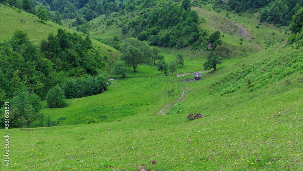 Summer landscape. A valley covered with lush green grass, with trees and a small house. Green hills. Landscape photography.