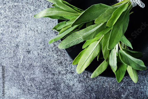 sage raw leaves on the background