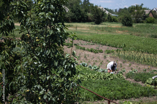 farmer works on the field