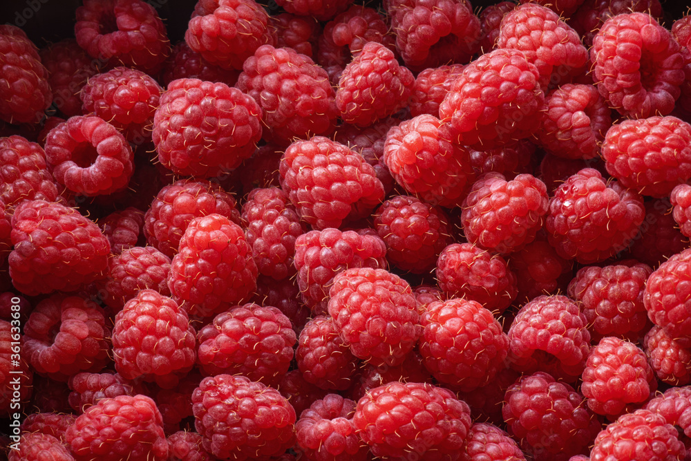 raspberries, red, ripe, juicy berries close-up top view, hello summer raspberries, red, ripe, juicy berries close-up top view, hello summer