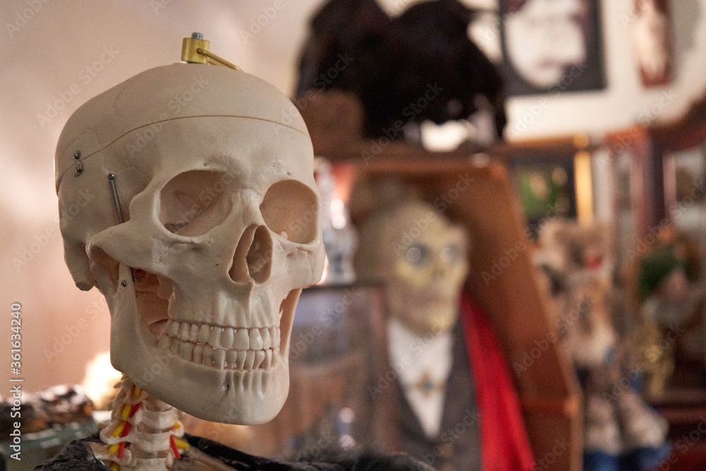 Artificial skull and crossbones in strange shop Artificial skull and crossbones in strange shop