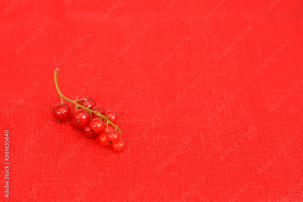 branch of red berries red currant on a red linen background. Vitamins