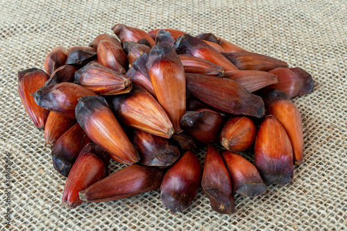 Araucaria seed pinion, traditional Brazilian food. photo