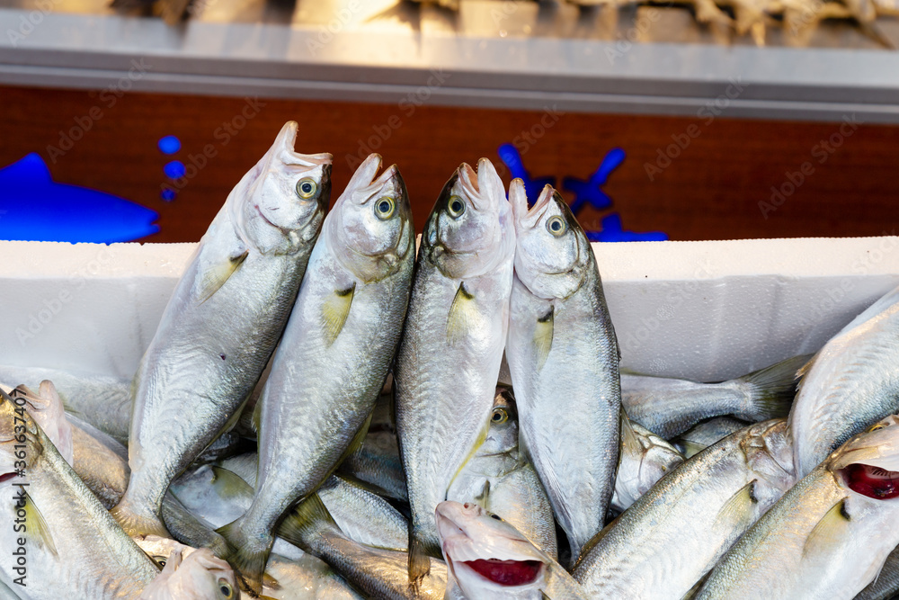 fresh fish on the market