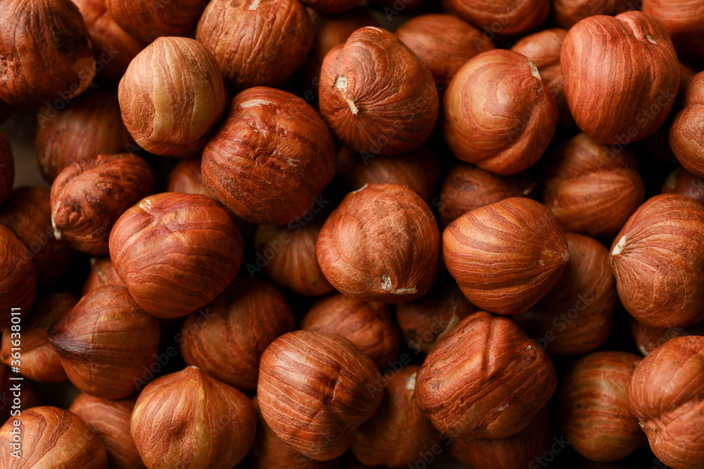 Tasty hazelnuts on whole background, close up. Vitamin food Tasty hazelnuts on whole background, close up. Vitamin food