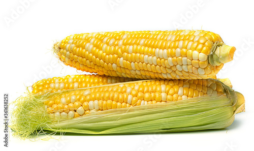 sweet and juicy corn on the cob on a white background