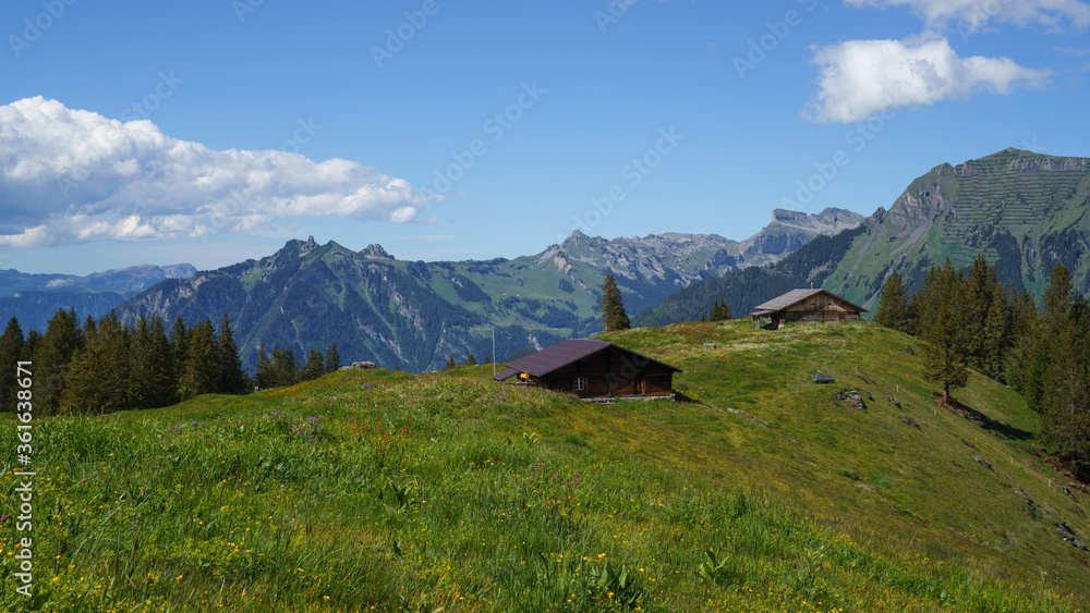 Beautiful Alp Mittelberg in Mürren, Switzerland