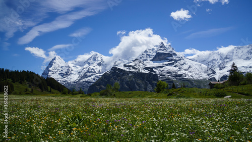 Eiger, Mönch and Jungfrau on a beautiful spring day