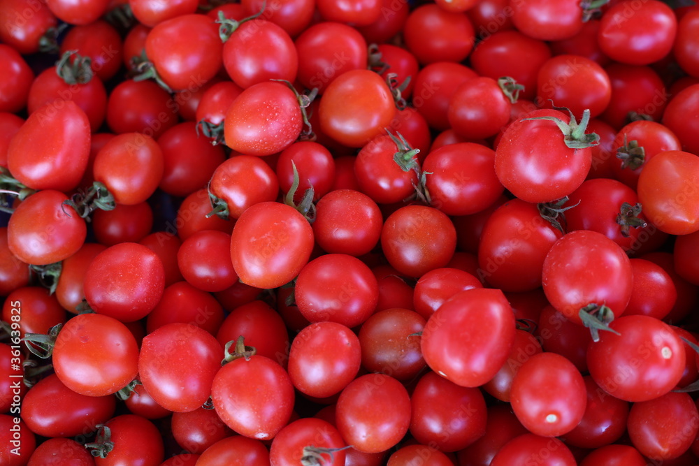 red cherry tomatoes red cherry tomatoes