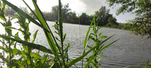 Foto Étang sous une averse