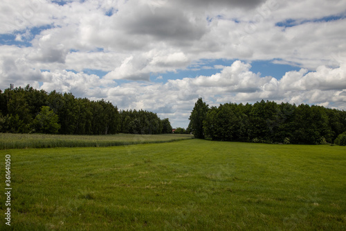 agricultural landscape in Poland on a summer day