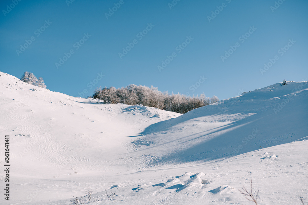 Snow-covered gorge in the mountains. Snow-covered forest in a ravine, in the north of Montenegro, in the national park Of Durmitor