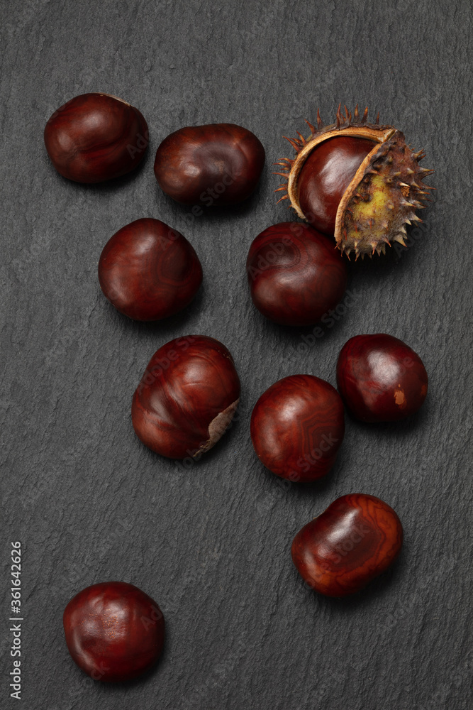 Fresh chestnuts and a chestnut hedgehog on dark grey slate table. Raw Chestnuts for Christmas. Flat lay Fresh chestnuts and a chestnut hedgehog on dark grey slate table. Raw Chestnuts for Christmas. Flat lay