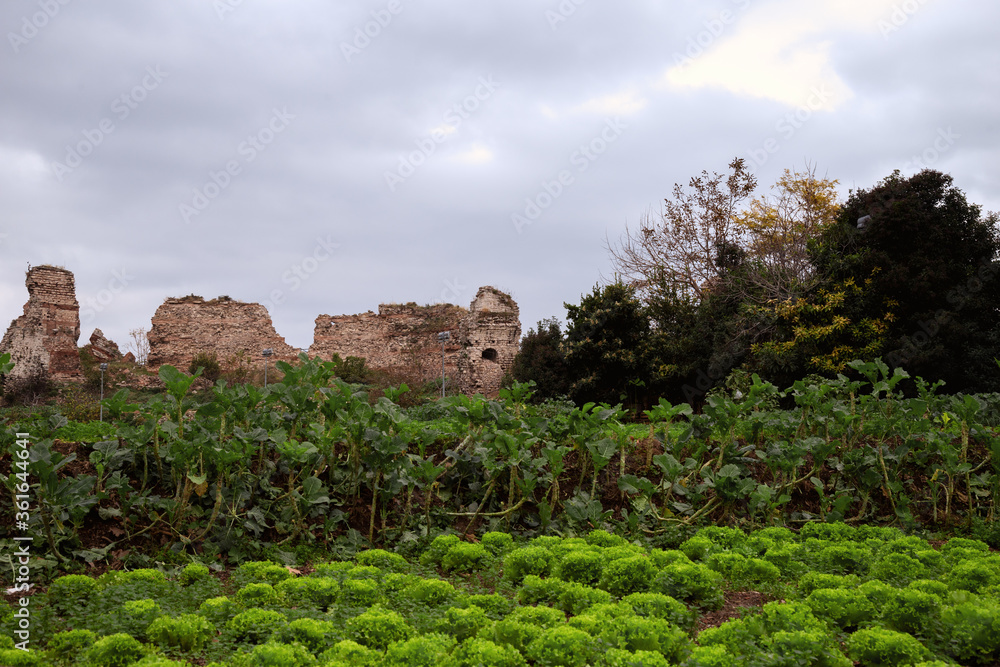 View of Yedikule Fortress in Istanbul, Turkey