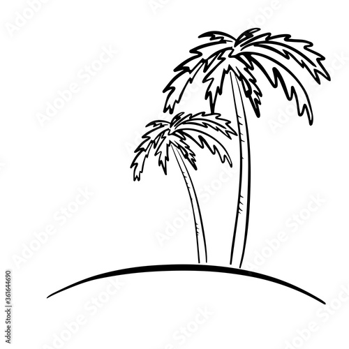 Quality detailed tropical palm tree silhouette vector with leaves. Two palm trees on an island. Vector illustration on white background. For cards, posters, stickers and professional design.
