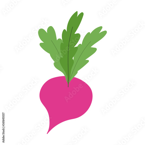 beet vegetable fresh nutrition food isolated icon design