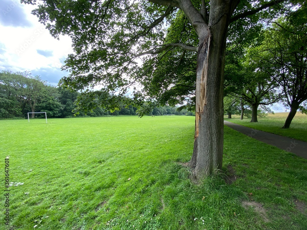Obraz premium Football field, with old trees, grass, and goalposts in, Northcliffe Park, Bradford, UK