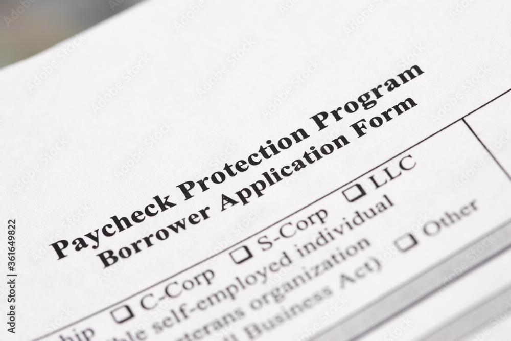 Paycheck Protection Program Borrower Application Form