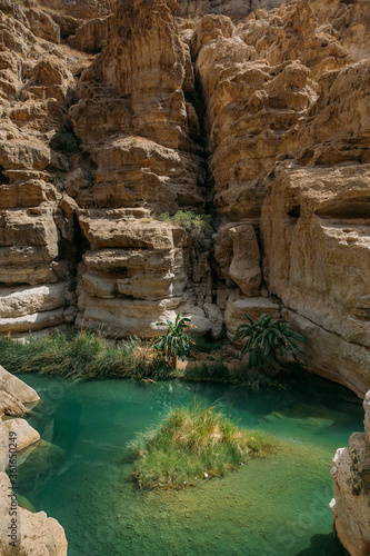 desert oasis