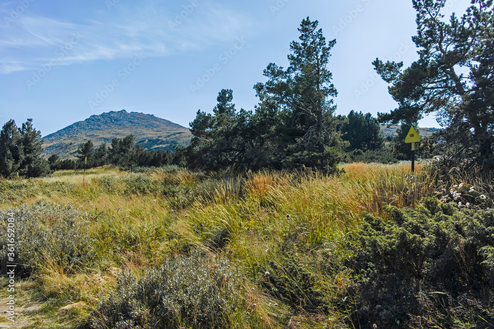 Obraz premium Autumn landscape of Vitosha Mountain, Bulgaria
